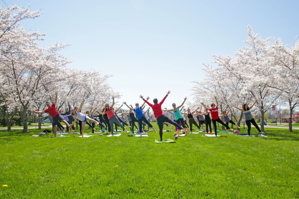 Brock University Photo